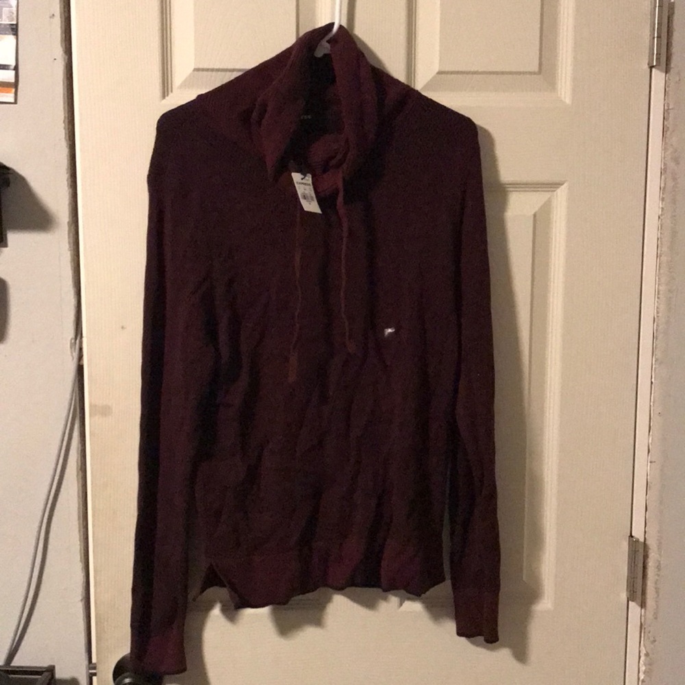 Express pullover sweater